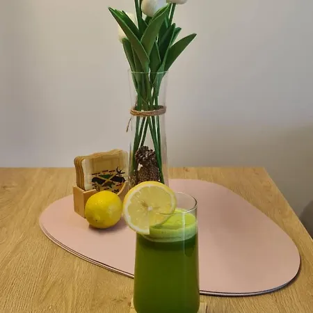 Oasis Titova Apartmán *