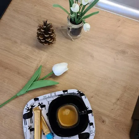 Oasis Titova Apartmán *