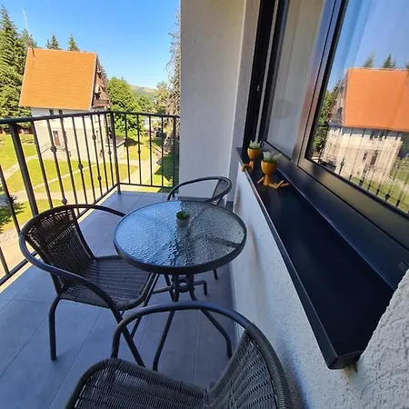 Oasis Titova * Palisat