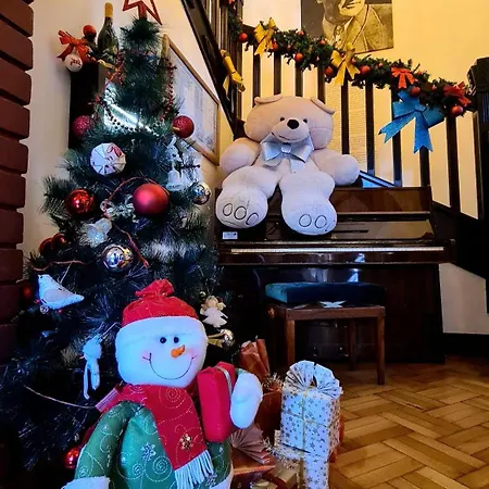 Oasis Titova Palisat