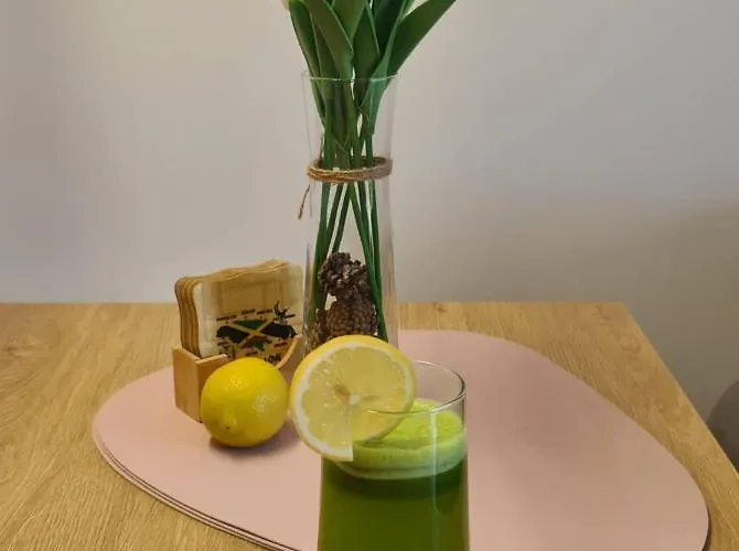 Oasis Titova Apartamento *