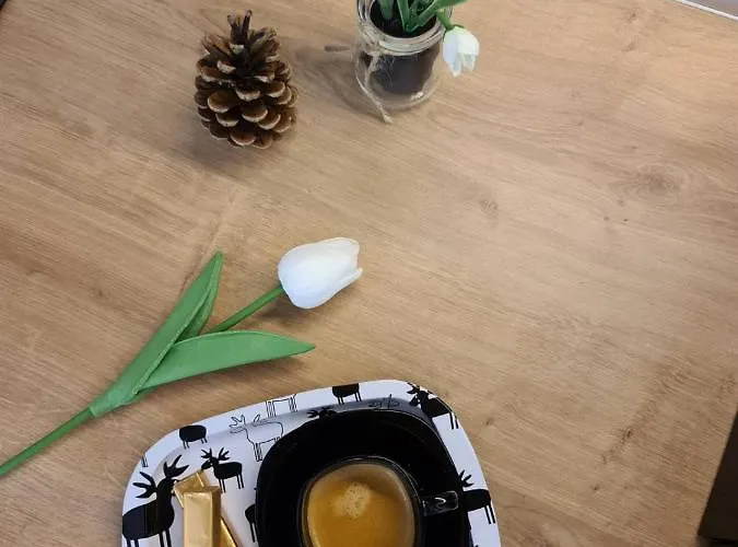 Oasis Titova Appartamento *